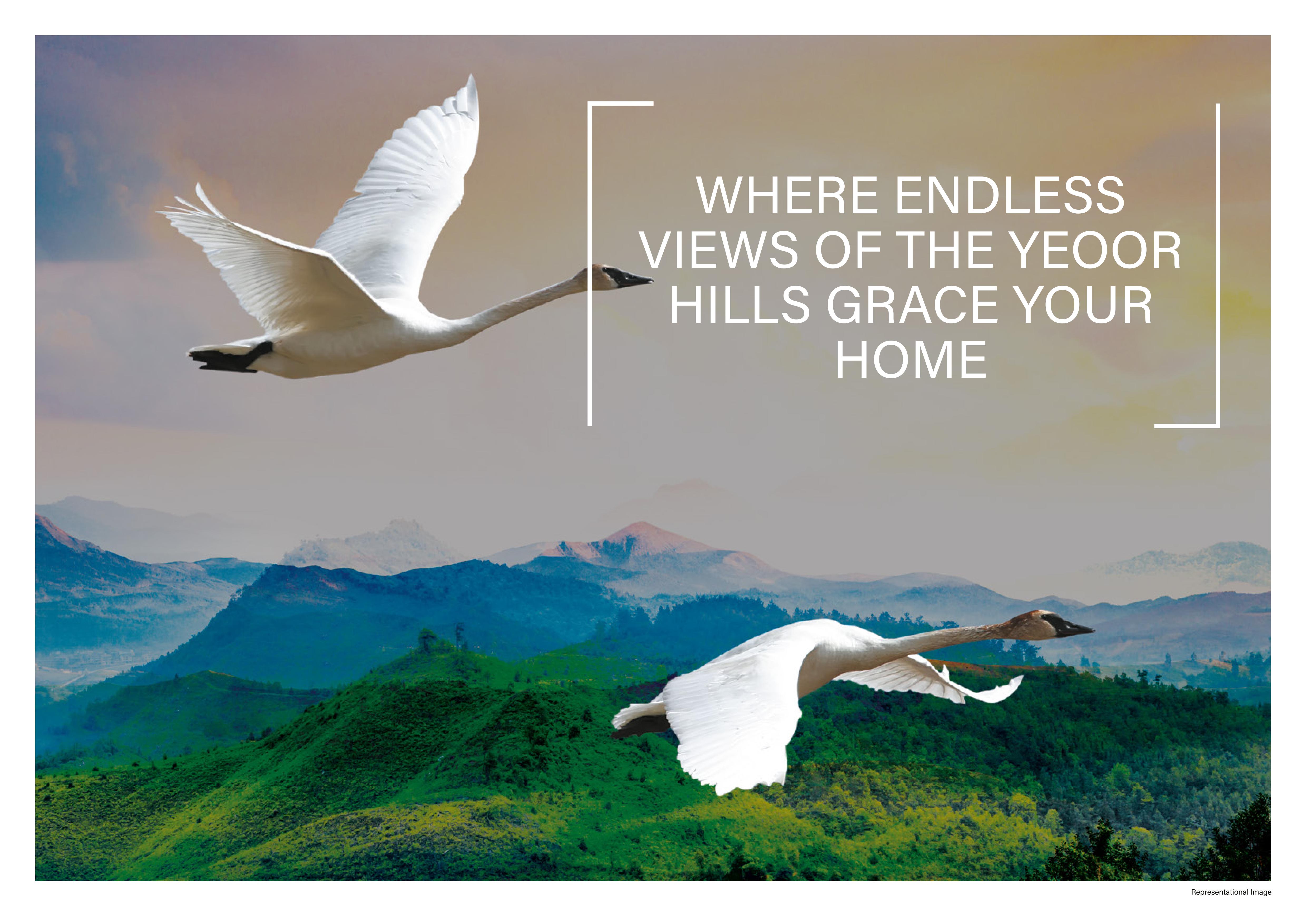  Dynamix Parkwoods Image 2